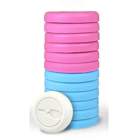 Silicon-Palets, le jeu de palets original