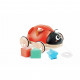 Coccinelle trieuse de formes à rouler, Hape