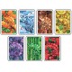 Coloretto, Oya : collectionnez des caméléons de 7 couleurs différentes